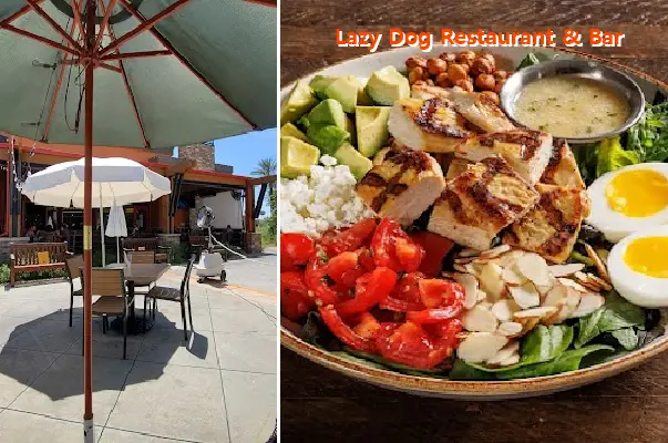 lazy dog restaurant  bar ca