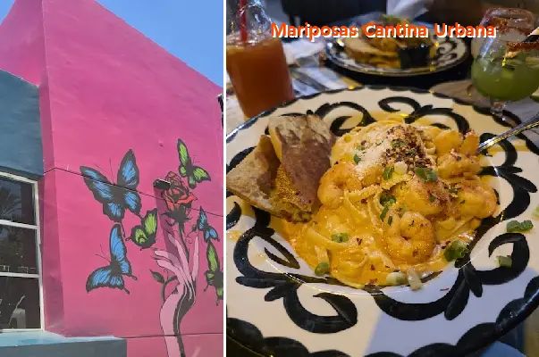 mariposas cantina urbana