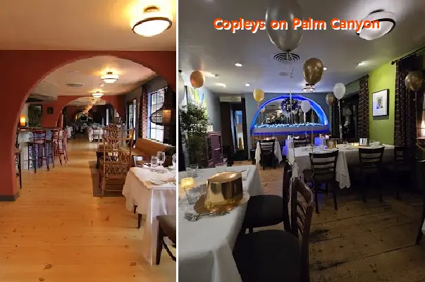 copleys on palm canyon