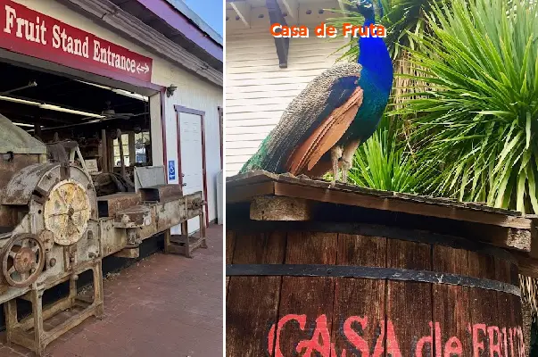 casa de fruta