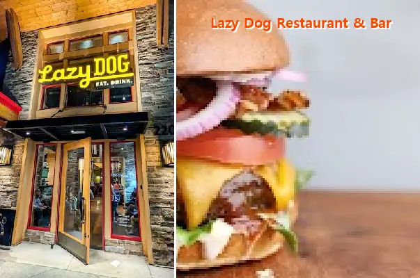 lazy dog restaurant  bar ca 94404