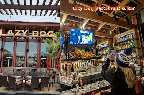 lazy dog restaurant  bar ca 93036