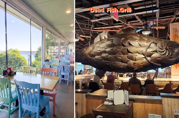 dead fish grill
