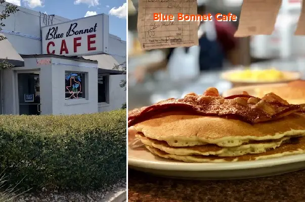 blue bonnet cafe