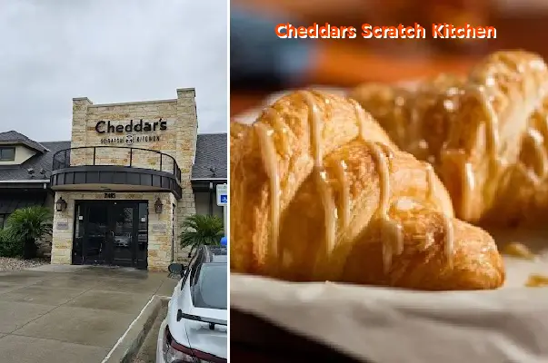 cheddars scratch kitchen tx 78520