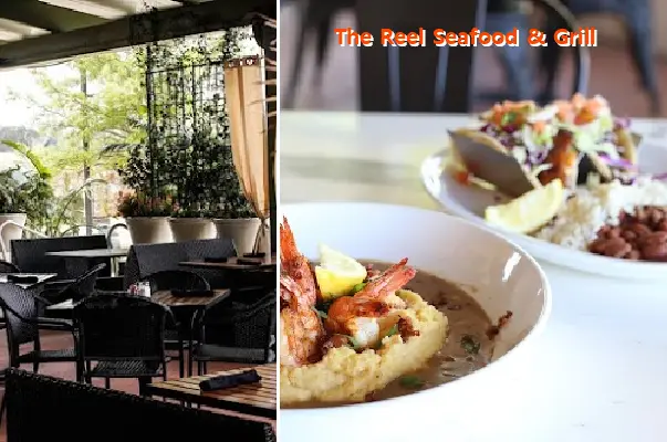 the reel seafood  grill