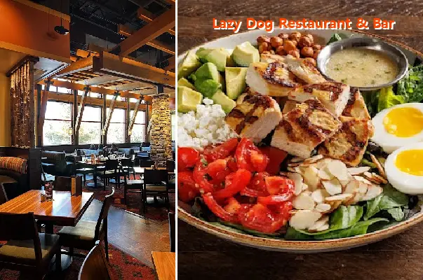 lazy dog restaurant  bar tx 75040