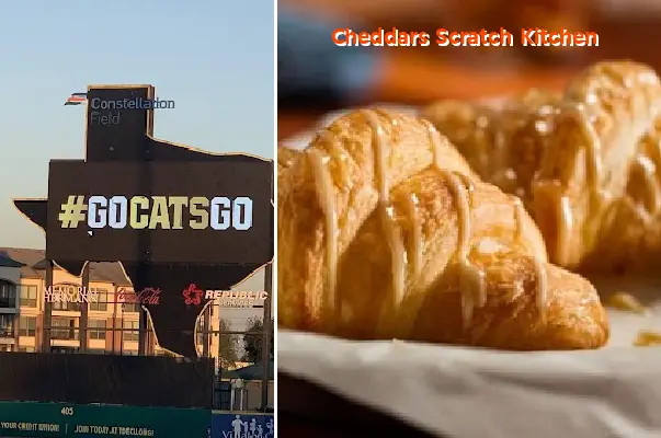 cheddars scratch kitchen tx 77478