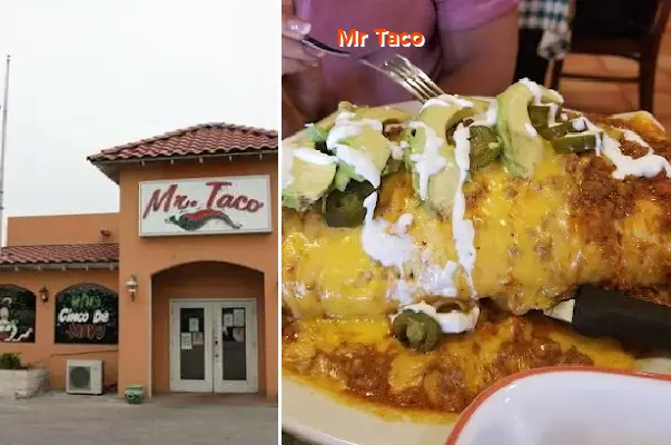 mr taco tx 78629