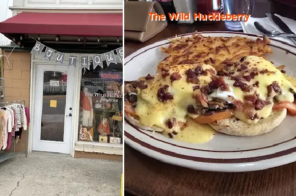 the wild huckleberry