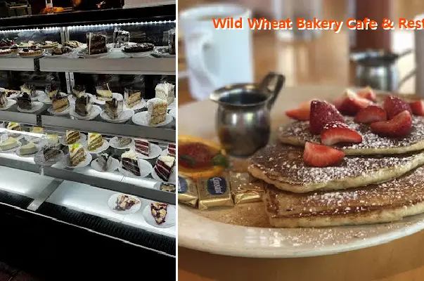 wild wheat bakery cafe  restaurant