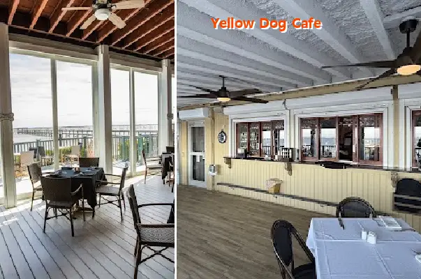 yellow dog cafe