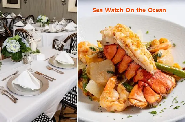 sea watch on the ocean