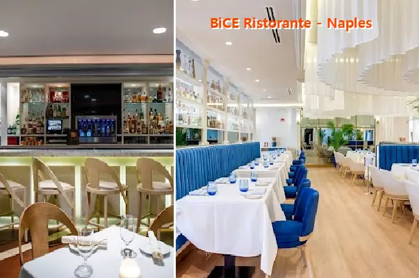 bice ristorante naples