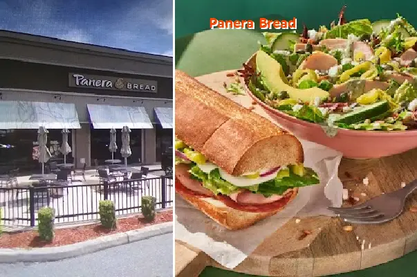 panera bread