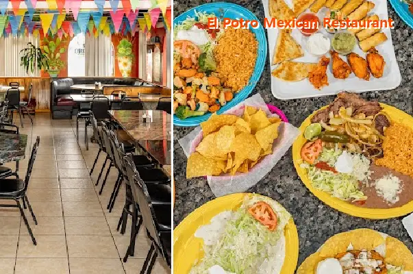 el potro mexican restaurant