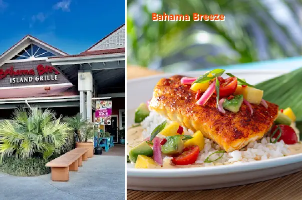bahama breeze