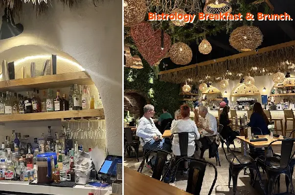 bistrology breakfast  brunch