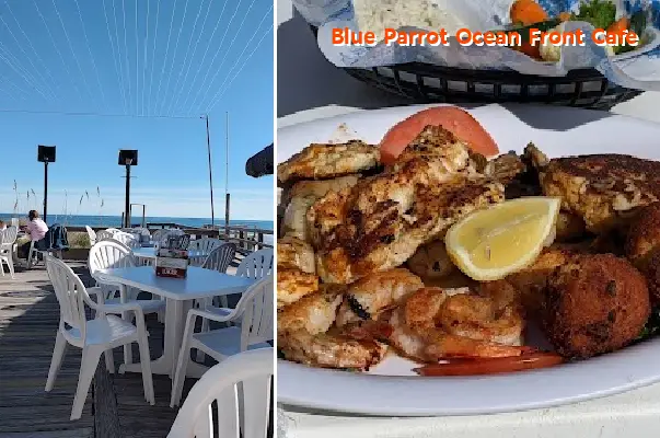 blue parrot ocean front cafe