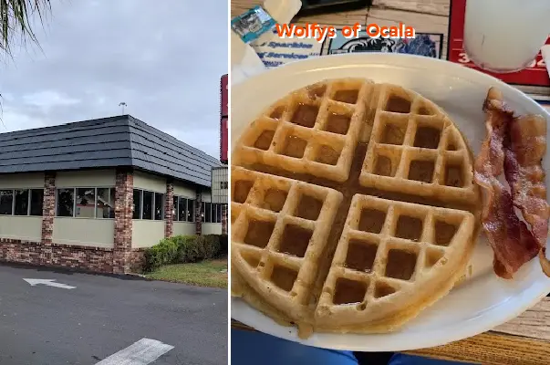 wolfys of ocala