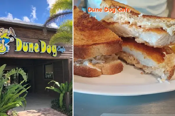dune dog cafe