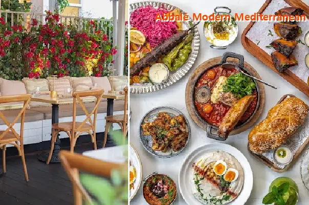 abbalé modern mediterranean kitchen south beach