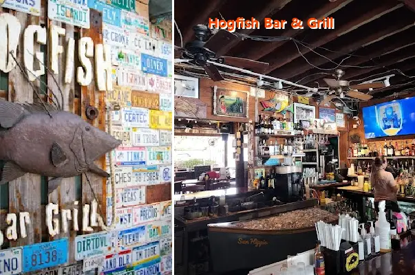 hogfish bar  grill