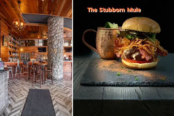 the stubborn mule