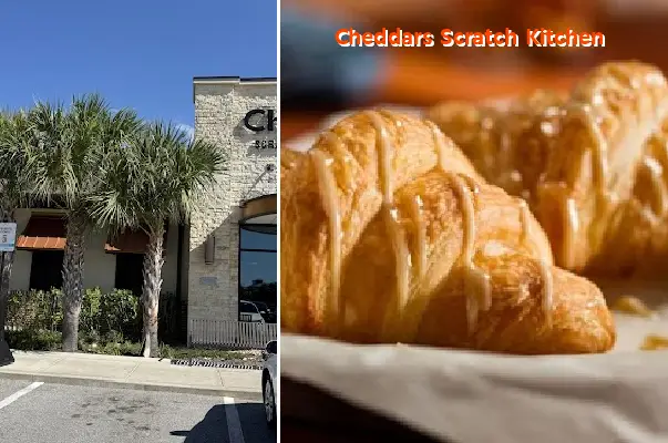 cheddars scratch kitchen fl 32821
