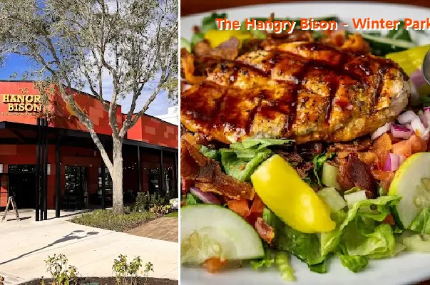 the hangry bison   winter park