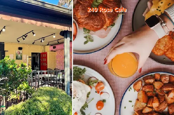 240 rose cafe