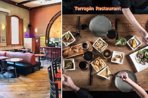 terrapin restaurant