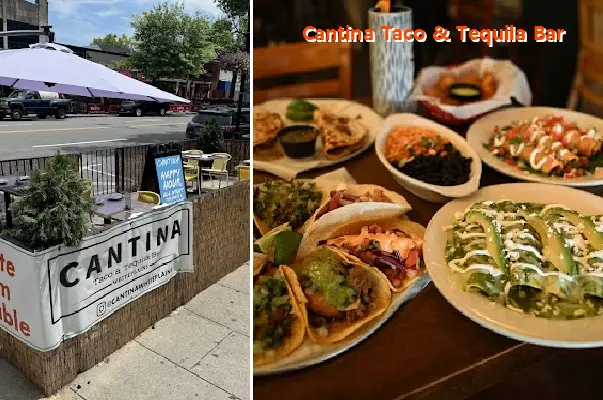 cantina taco  tequila bar