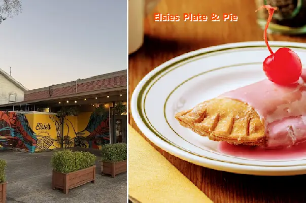 elsies plate  pie
