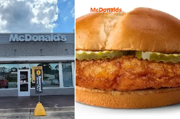 mcdonalds ga 31537