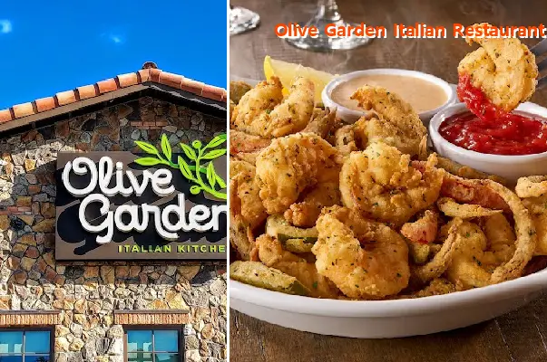 olive garden italian restaurant ga 30534