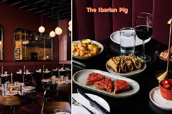 the iberian pig