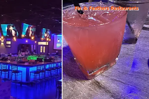 fin feathers restaurants ga