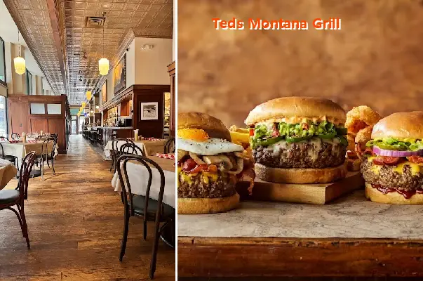 teds montana grill ga
