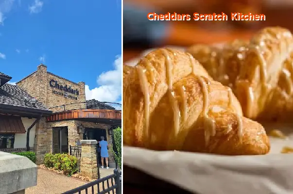 cheddars scratch kitchen ga 30501