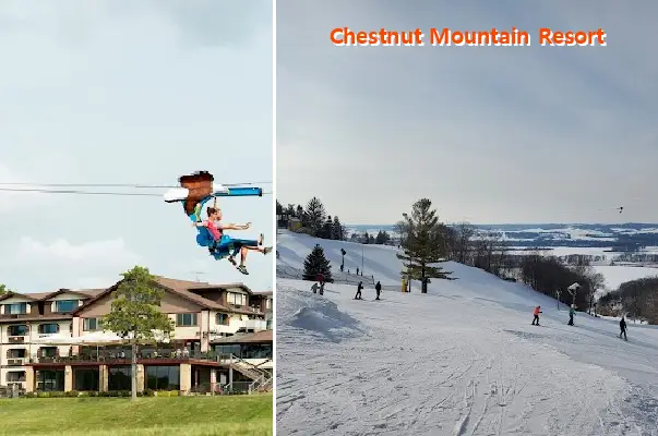 chestnut mountain resort