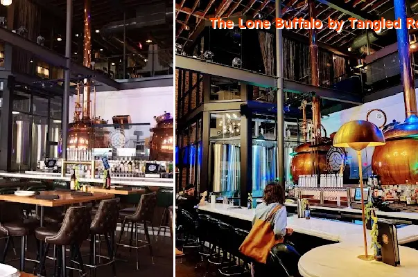 the lone buffalo by tangled roots brewing company