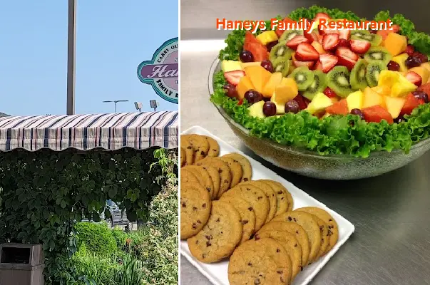 haneys family restaurant