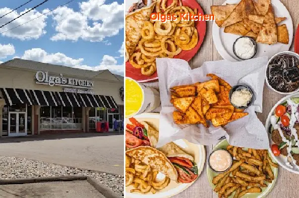 olgas kitchen mi 17651