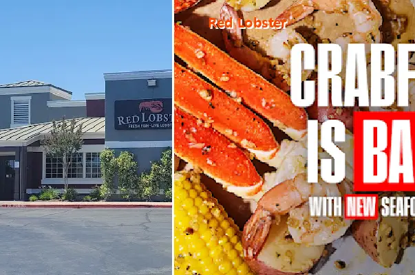 red lobster ca 94565