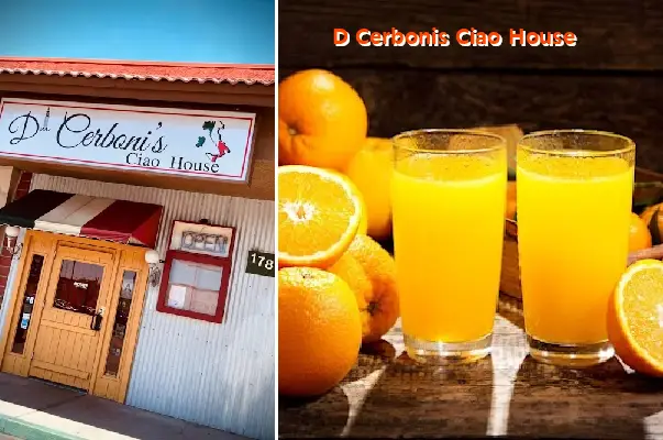 d cerbonis ciao house