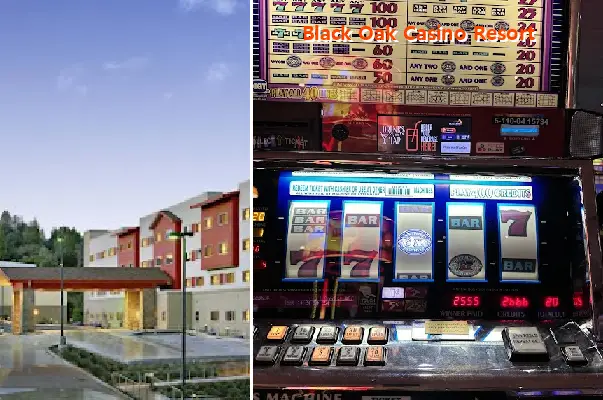 black oak casino resort
