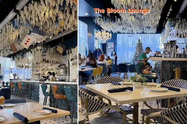 the bloom lounge