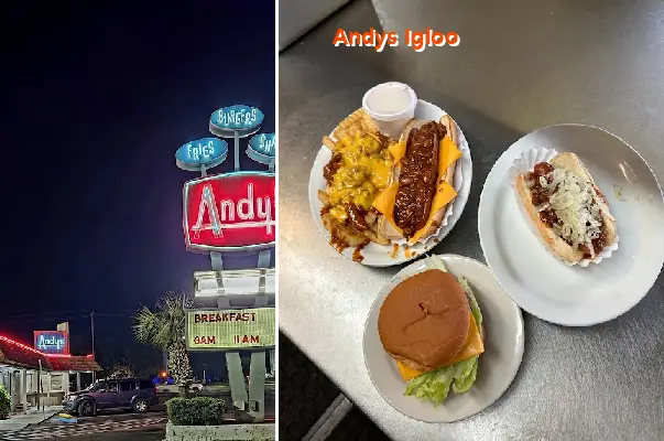 andys igloo