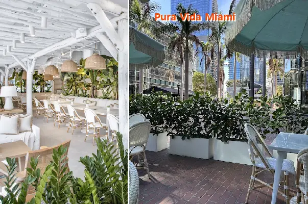pura vida miami fl 33131